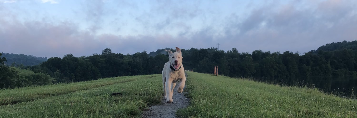 WolfeJansen's profile banner image