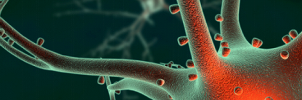 Flux_Congress Profile Banner