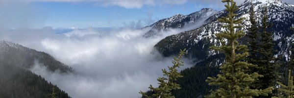 Austin weber Profile Banner