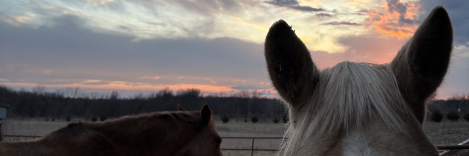 janieodonnell24's profile banner image