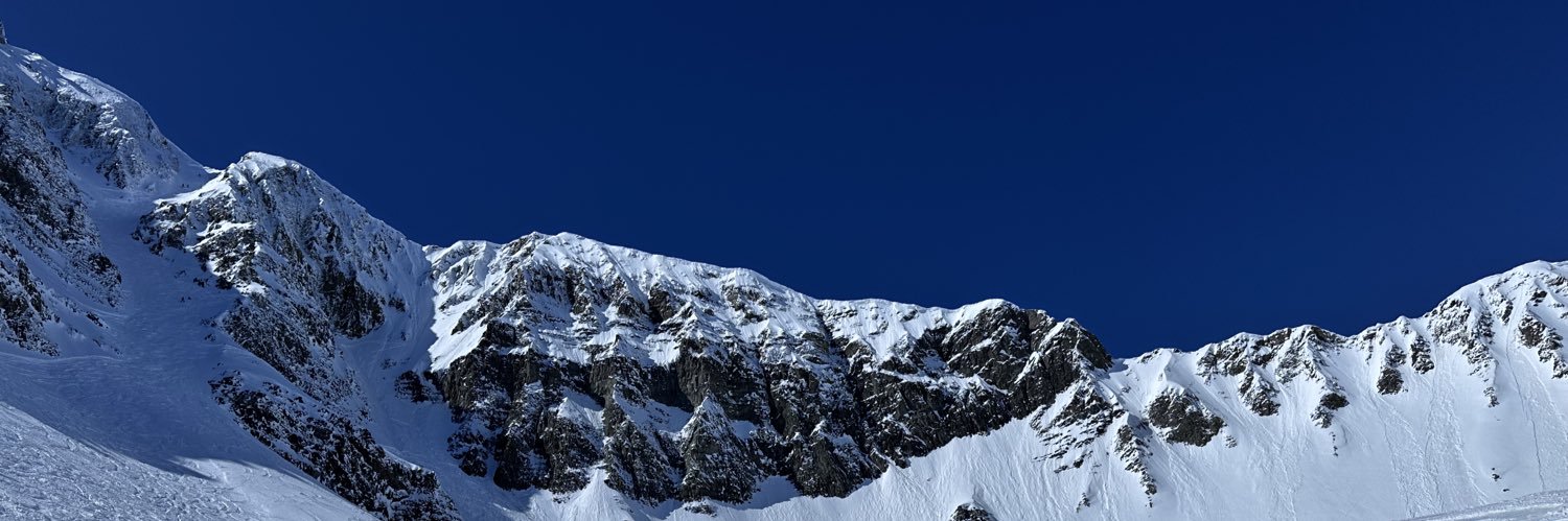 Sondra Goldschein banner