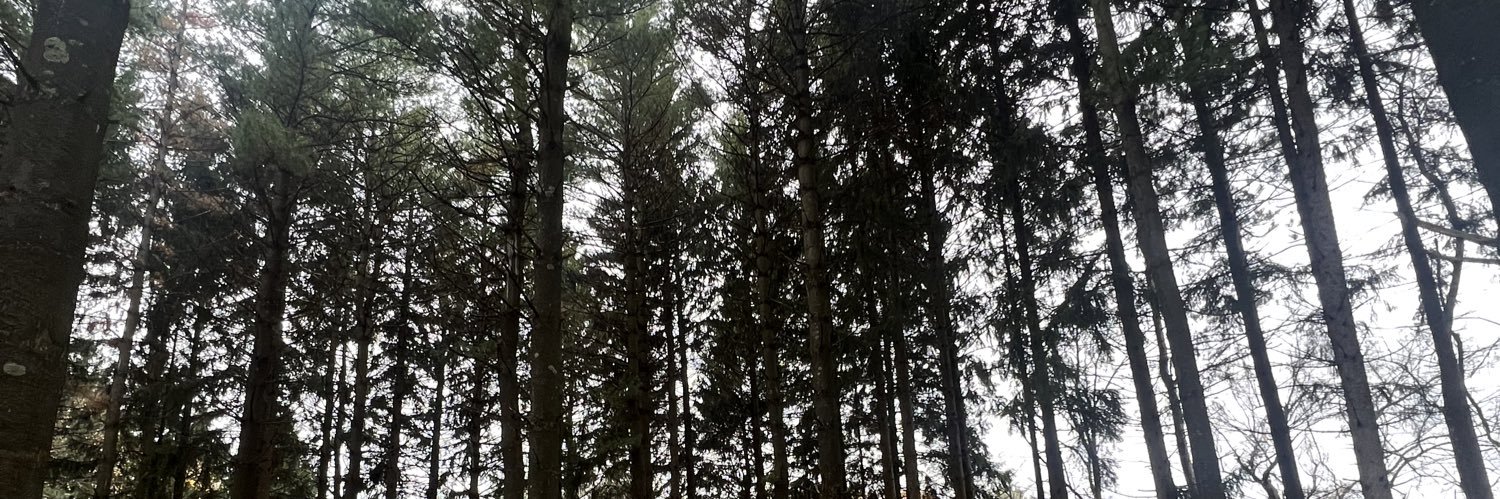 Nicole Boswell, MD banner