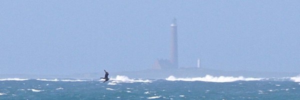 craig_round Profile Banner