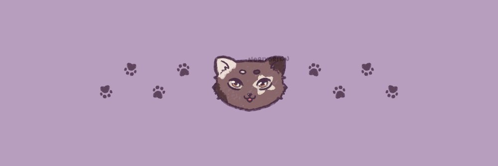 Noriyorinn's profile banner image