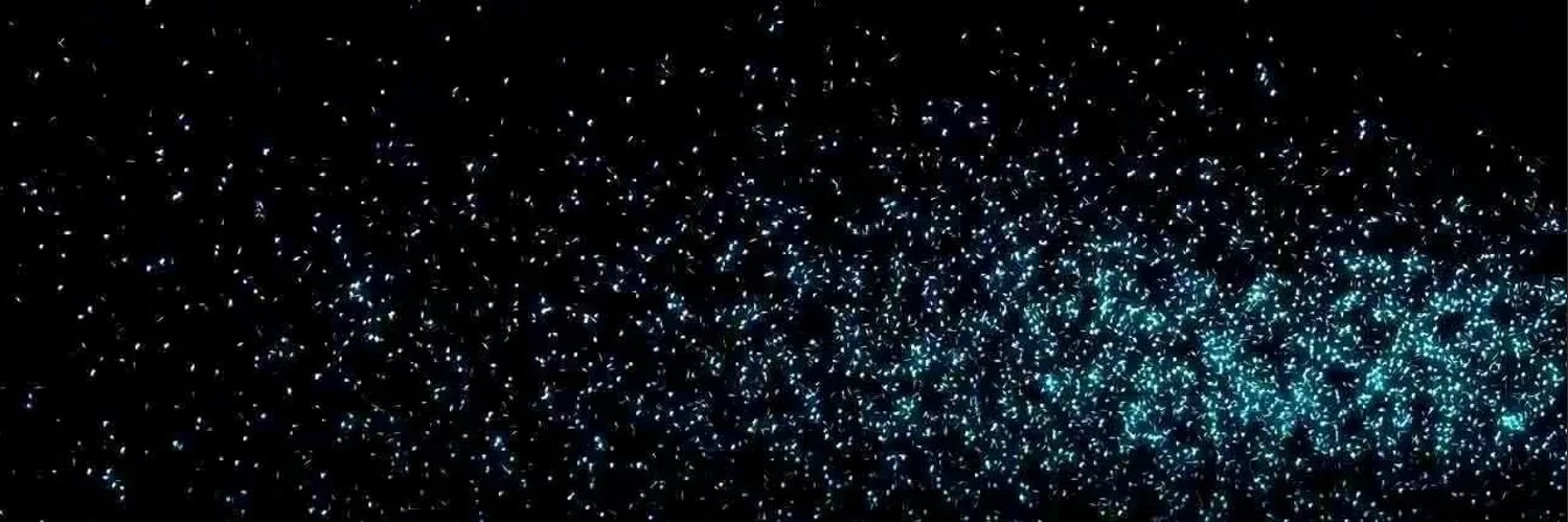 𝙍𝙞𝙘𝙝𝙖𝙧𝙙🤟 banner