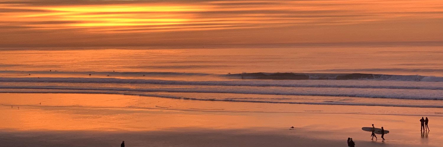 Alexander Chase banner