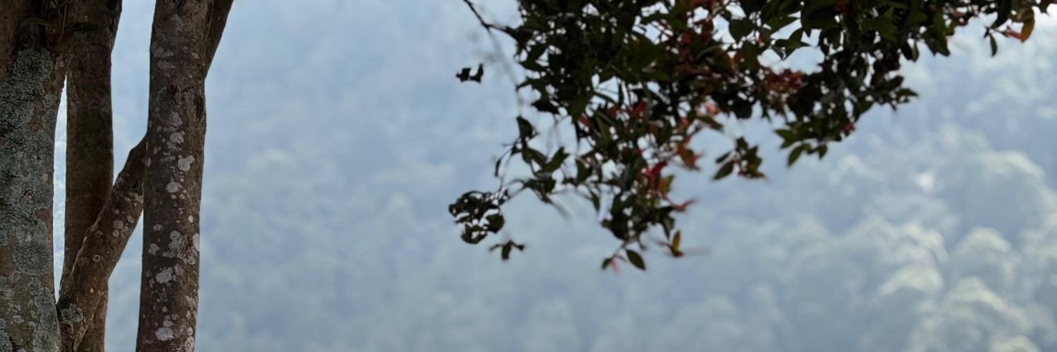 utrie_ismail's profile banner image
