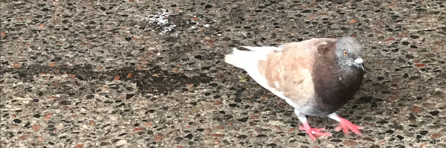 paulholley34's profile banner image