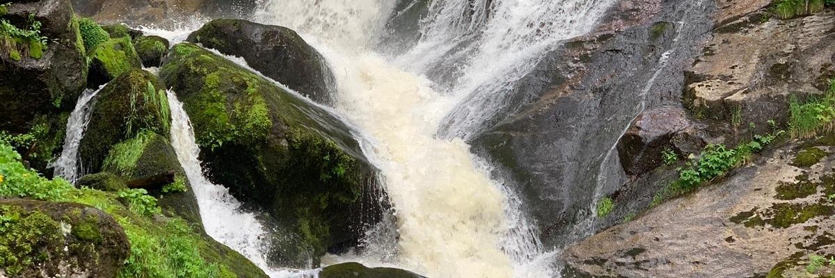 FPL Blindside banner