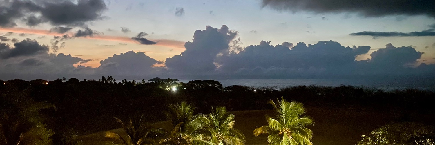 Mark Onyschuk banner