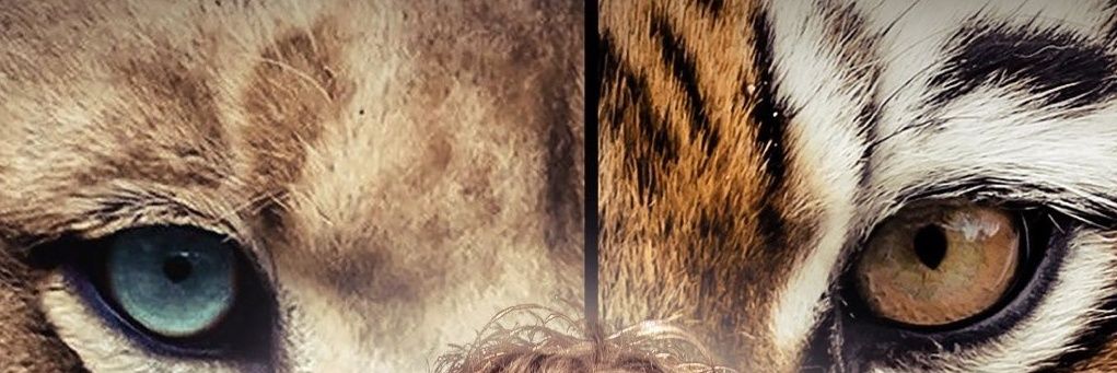 OTTRockerzss's profile banner image