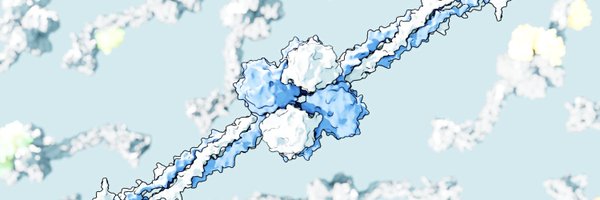 DylanNoone3 Profile Banner