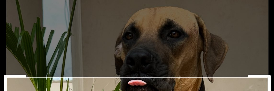 Sam Crypto 👽 banner