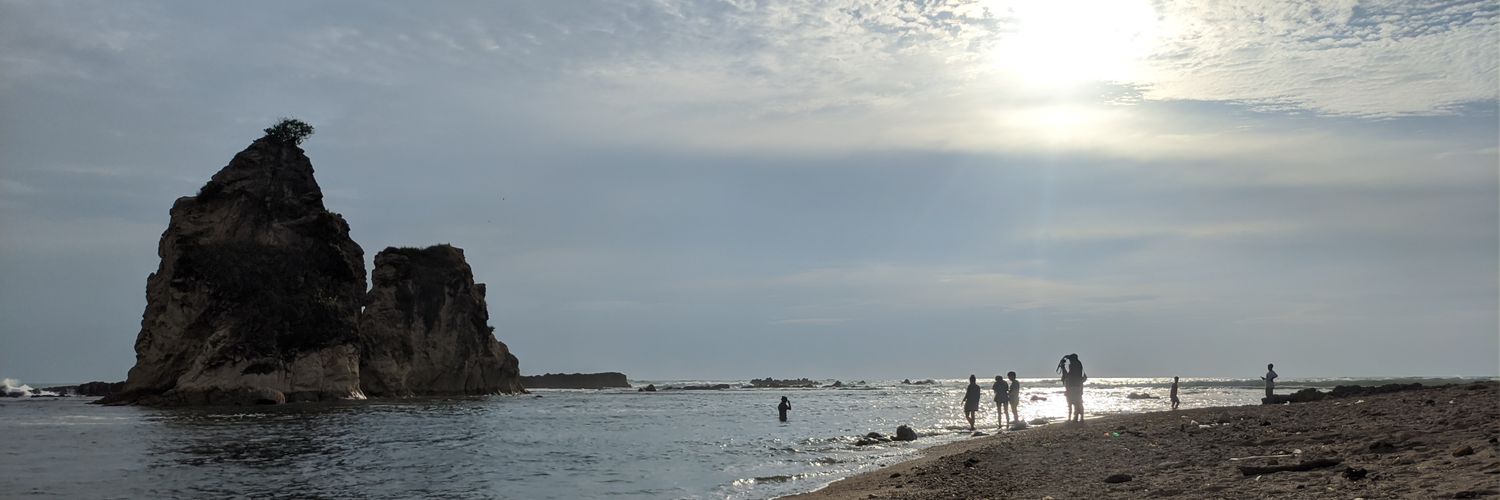 Davin Risy Al Hanif  banner