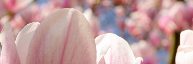 johantj's profile banner image