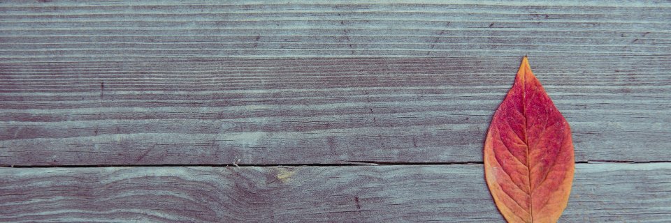 Jithunair95's profile banner image
