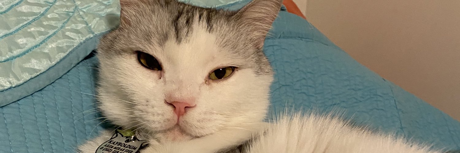 birevdeuckedi's profile banner image