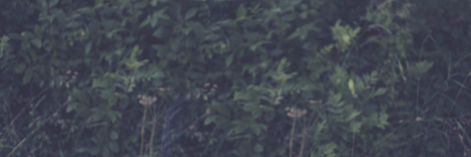ryantcarter's profile banner image