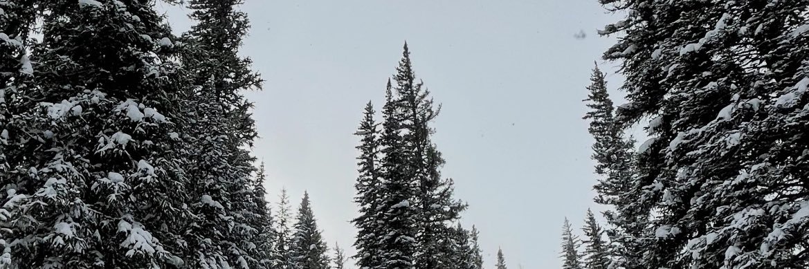 mayaaalexandraa's profile banner image