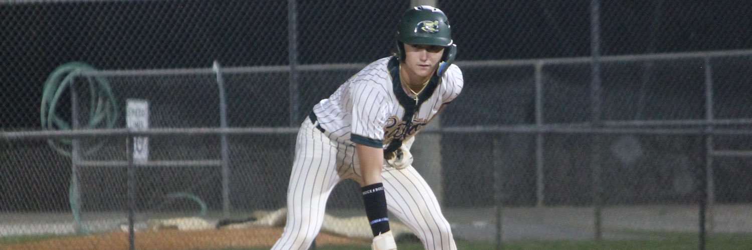 Austin Schoolcraft banner