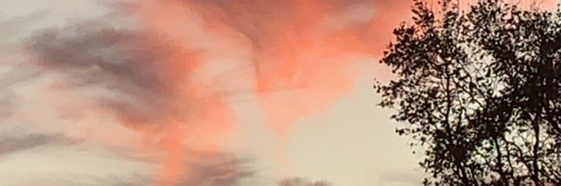 19mj64's profile banner image