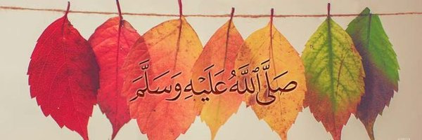 AminaQureshii Profile Banner