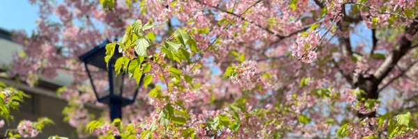 hugolopez1 Profile Banner