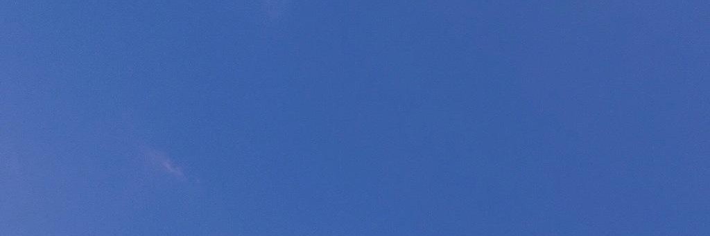 Dewayne Reding banner