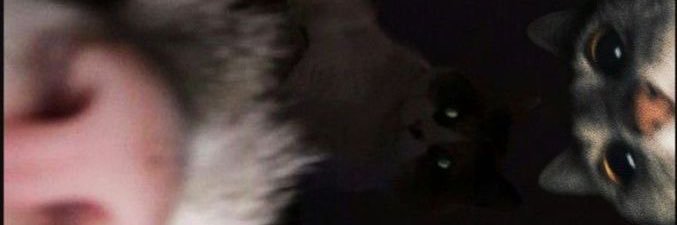 _Beyond_Earth's profile banner image