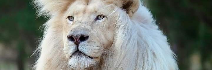 DerekJinga01's profile banner image