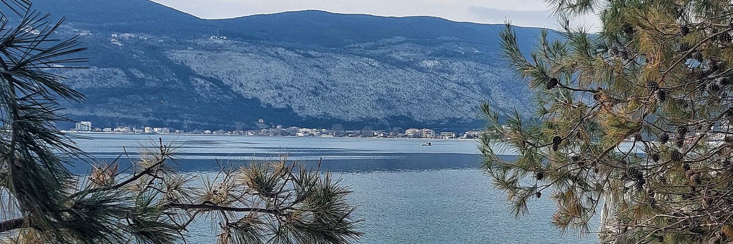 Jagoda Višnjić Šljivić banner