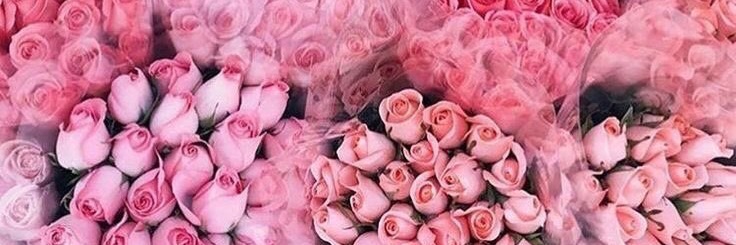 Bobbieejohnson's profile banner image