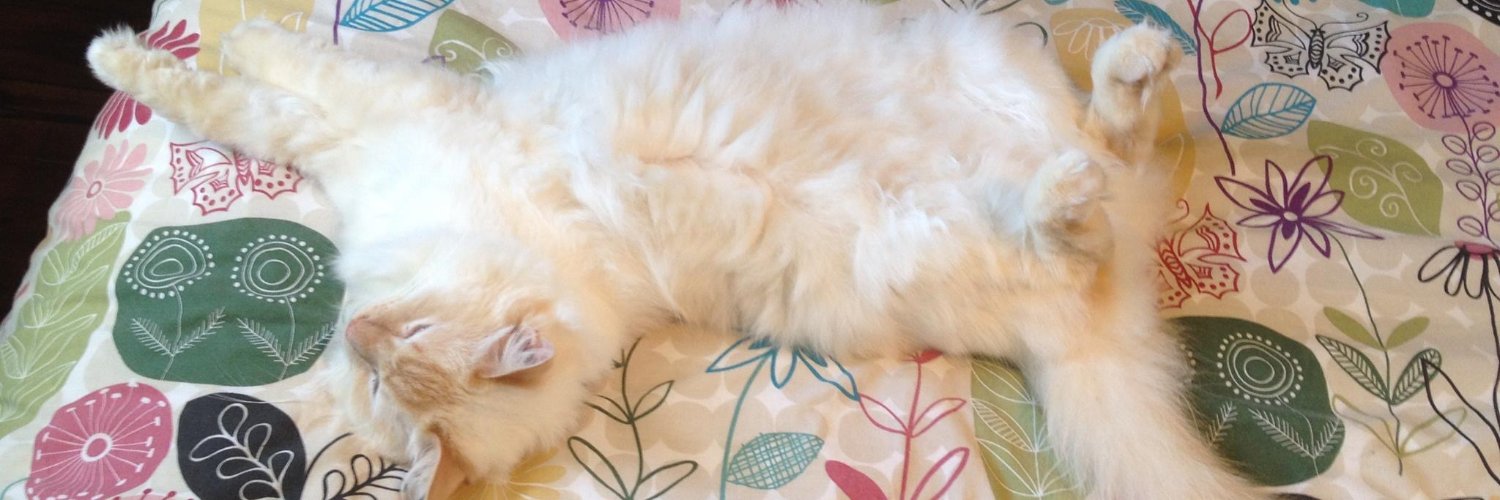 Lucy Fitschen banner