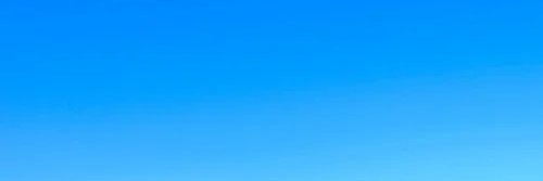 Bronson banner