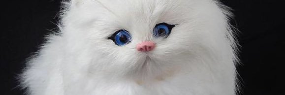 kinaz135's profile banner image