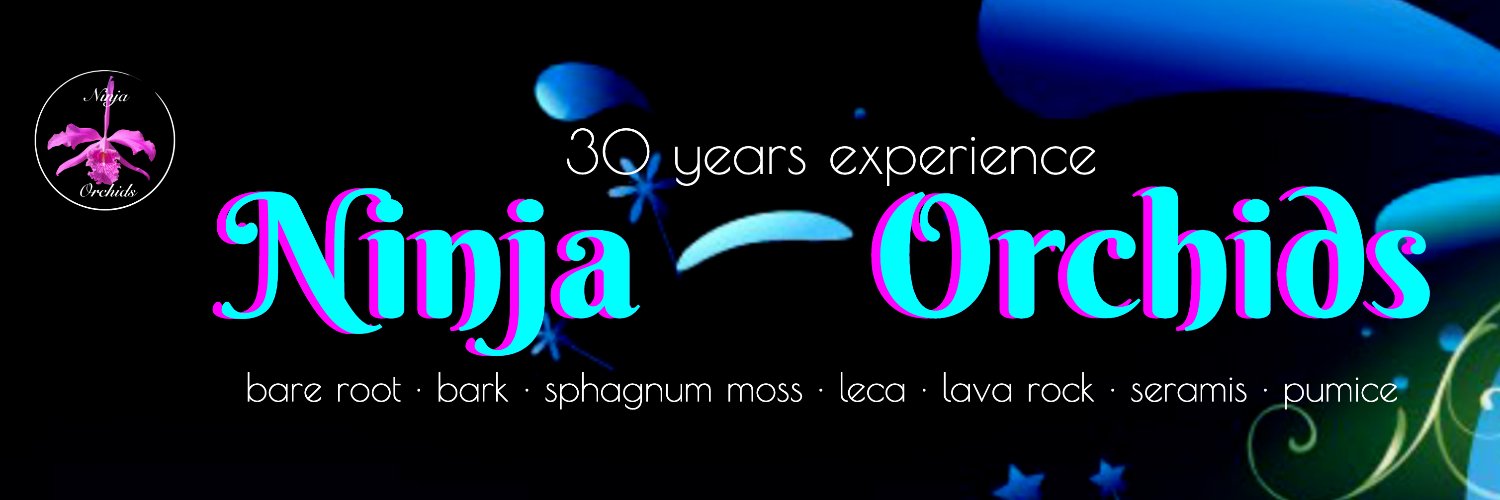 Ninja_Orchids banner