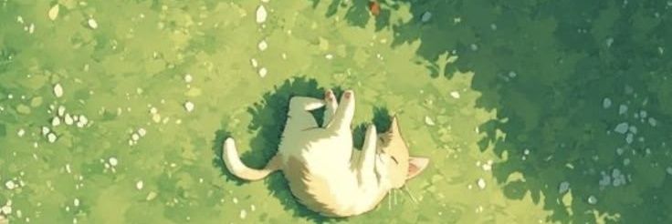 paxl_diver's profile banner image
