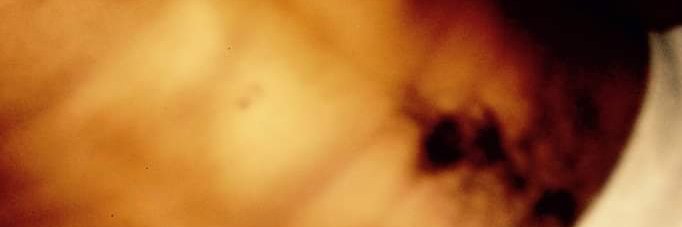 1016_dan's profile banner image