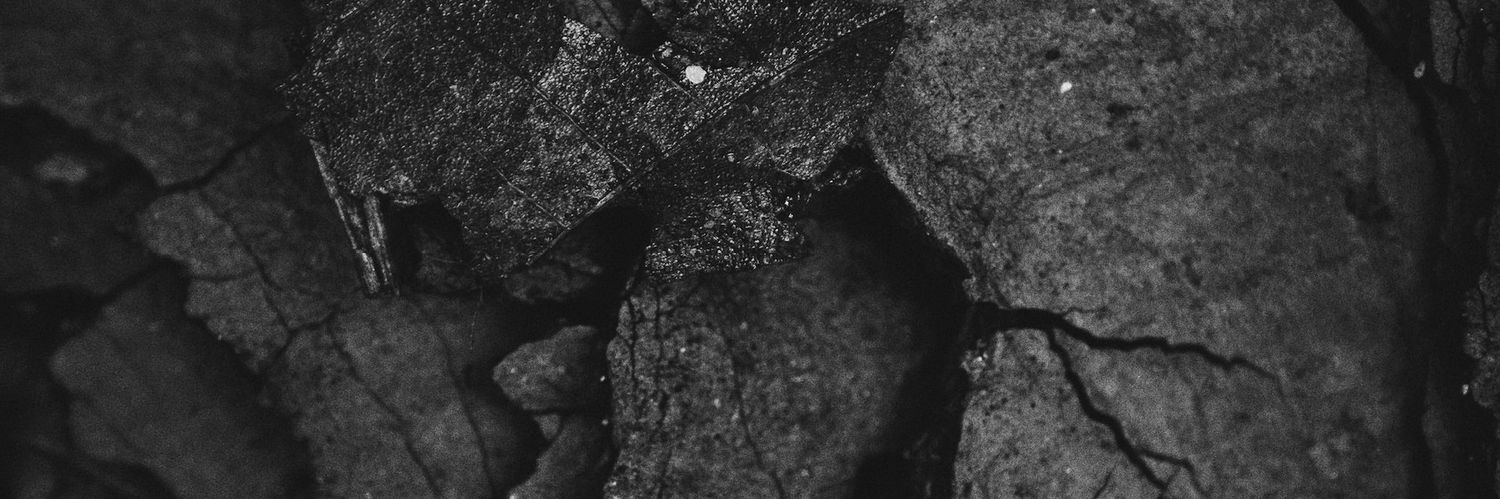 blackEfficiency's profile banner image