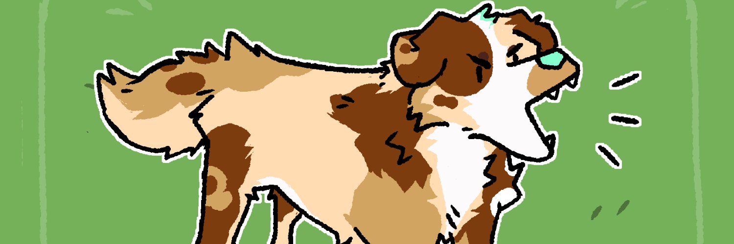 bailey 🐾 🔜 lvfc banner