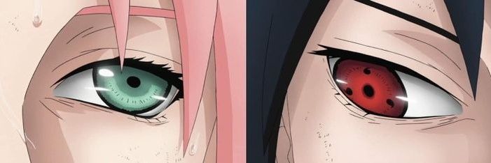 L. banner