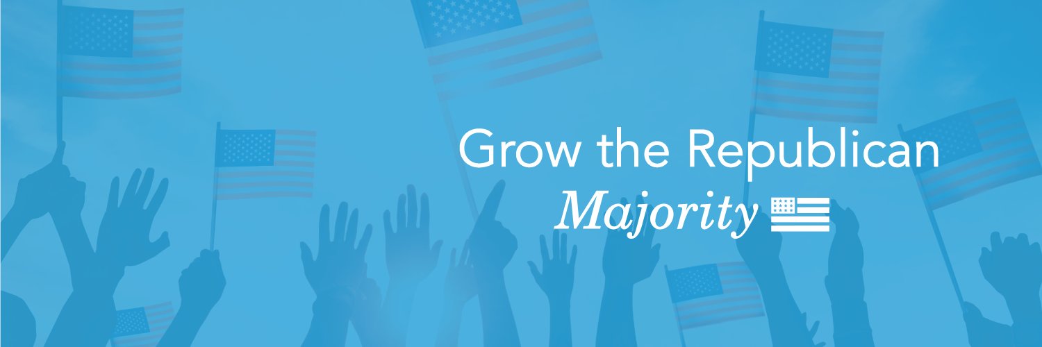 The Sentinel Action Fund banner