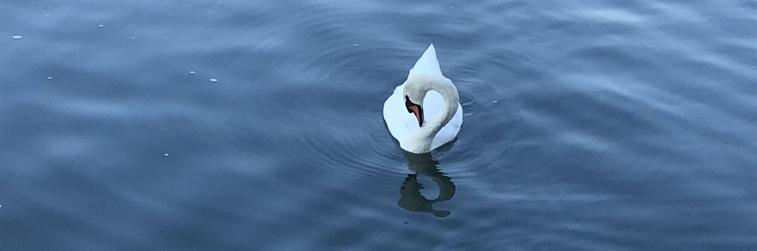 danaamdahl's profile banner image