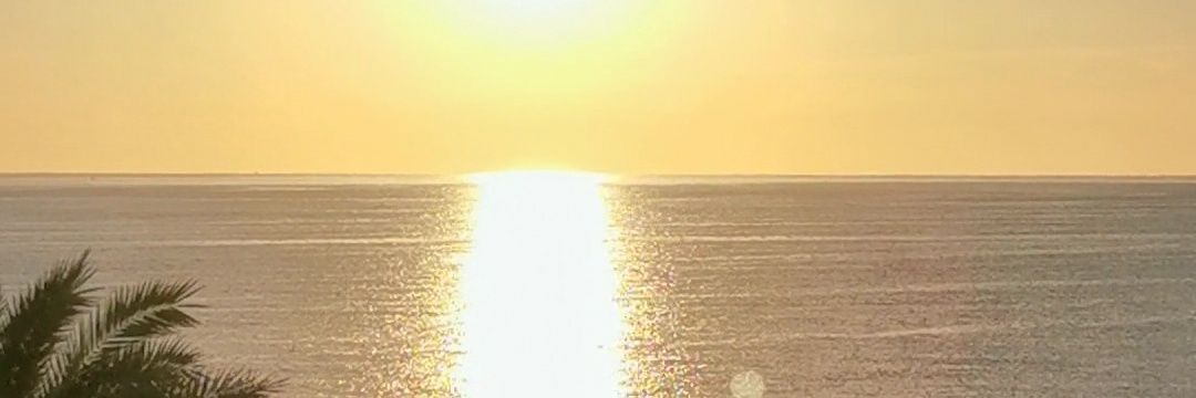 laaura_gs's profile banner image