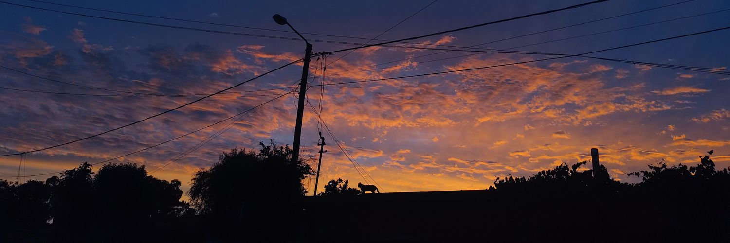 sofia_devoto's profile banner image