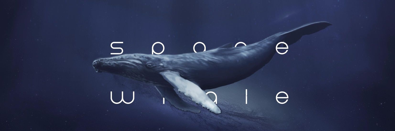 WhaleFantasy_Mw's profile banner image