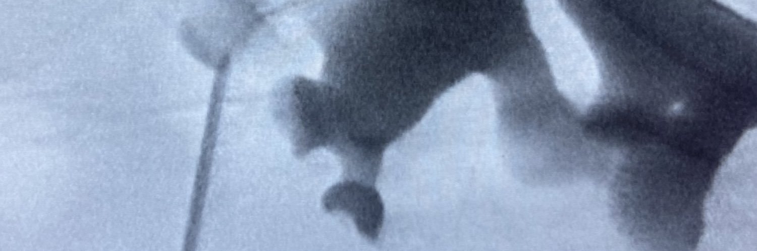 Oadmil da Silva Filho banner