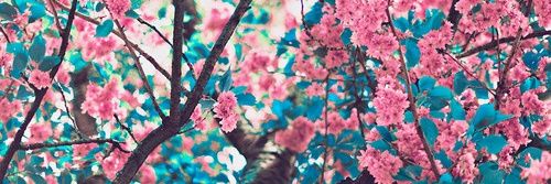 Ines_Martu's profile banner image