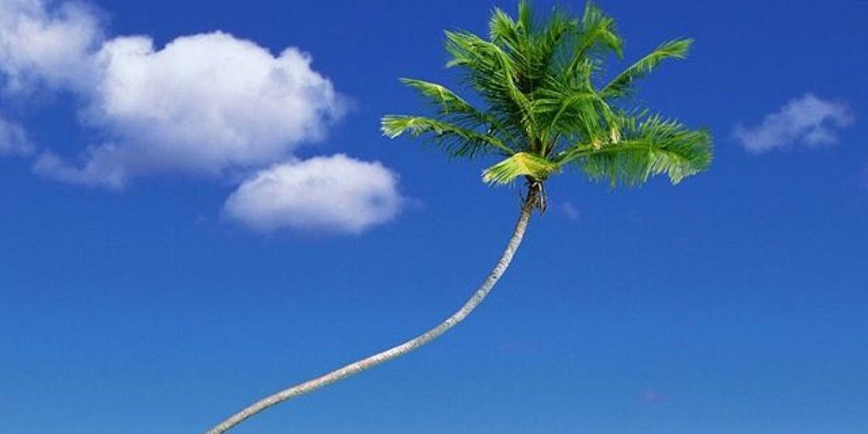 shimba_____'s profile banner image