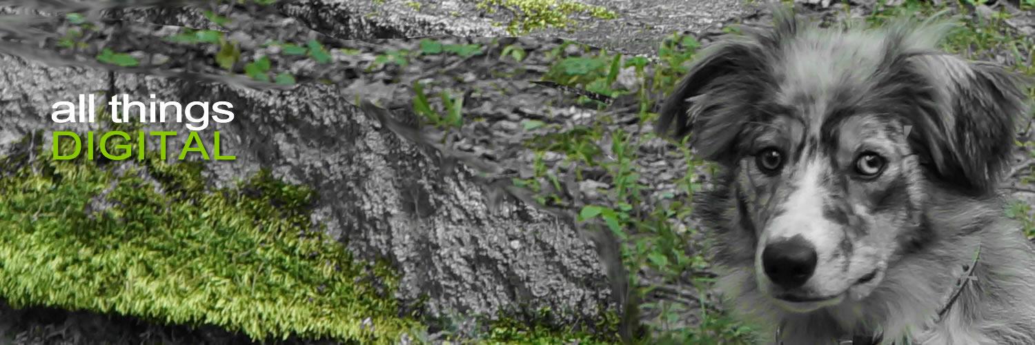 nadinekf's profile banner image